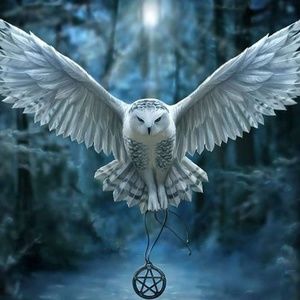 Meet your Posher, Terri